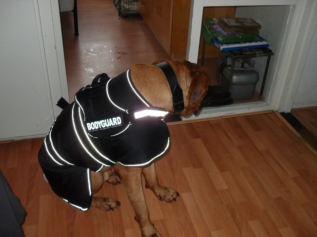 Ik ga er even goed voor zitten kunnen jullie mijn nieuwe spullen goed zien