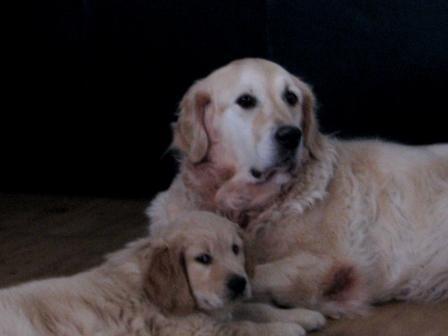 Sinds kort samen, zijn wij mooi of niet