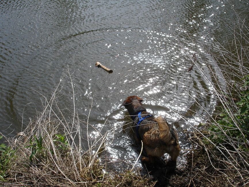 Mijn aller eerste x zwemmen! Dat was best even spannend!