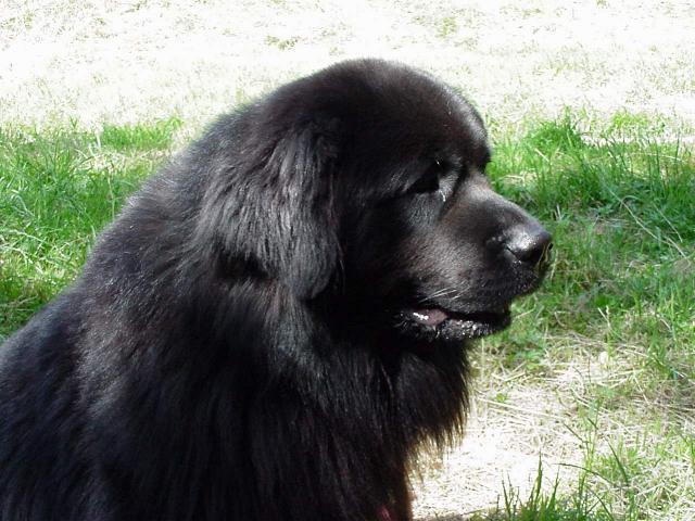 Een profieltje van Cash