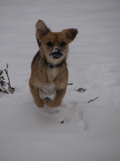 I believe I can fly!