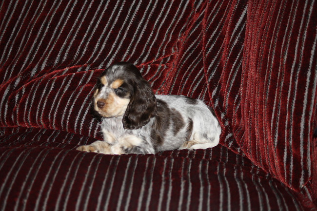 Joy hier 9 weekjes jong