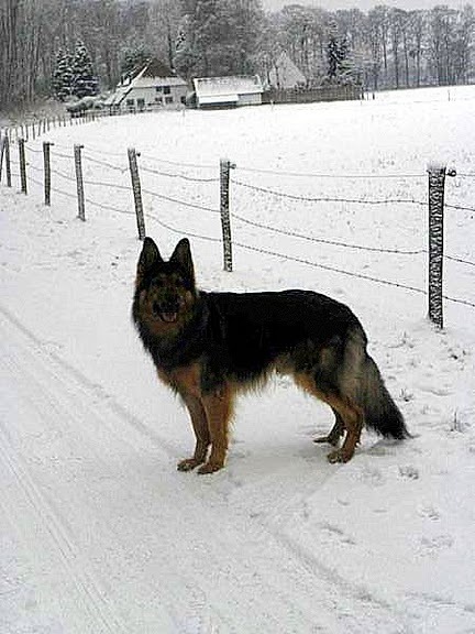 Net een kaartje....alleen niet scherp genoeg helaas...