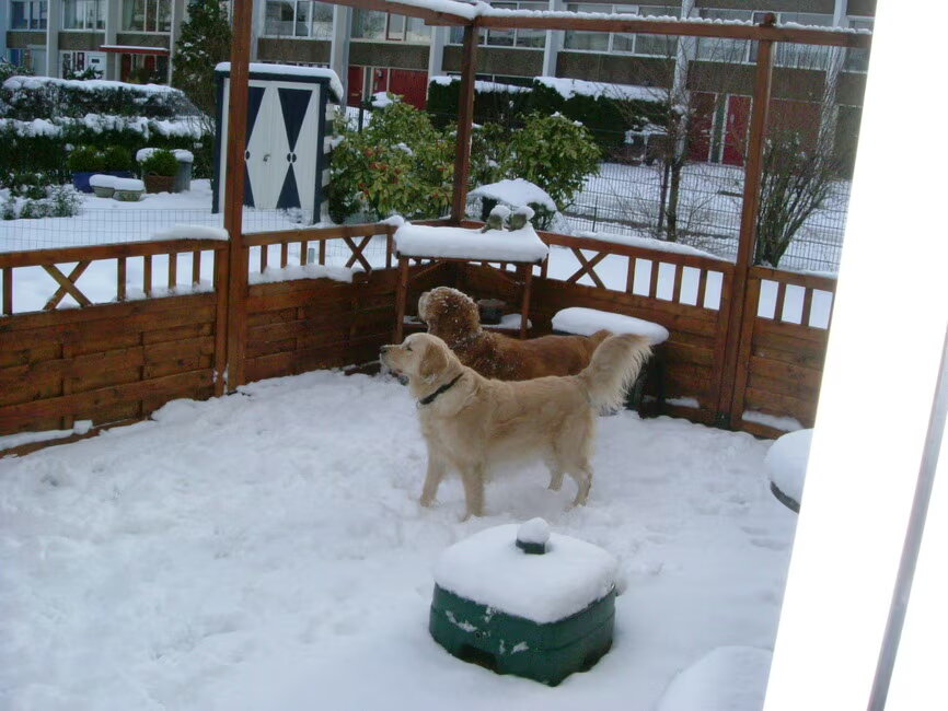 We moesten even op de patio blijven want ons Baasje moest vegen.