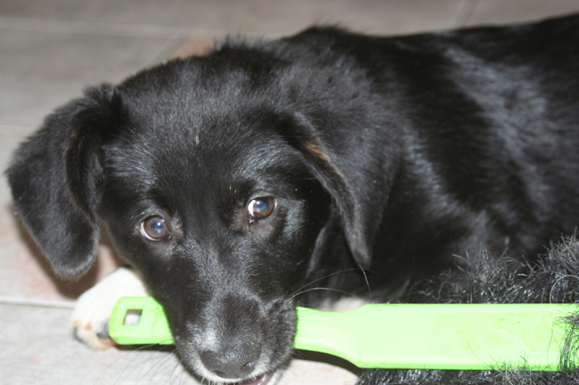 lieve ondeugende Luca