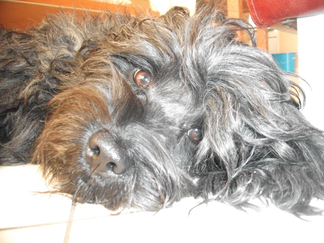 mijn aller liefste schat :)