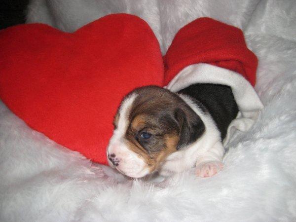 Hier was Guusje 1 week oud.