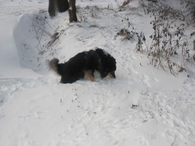 Wat een dik pak sneeuw zeg.
