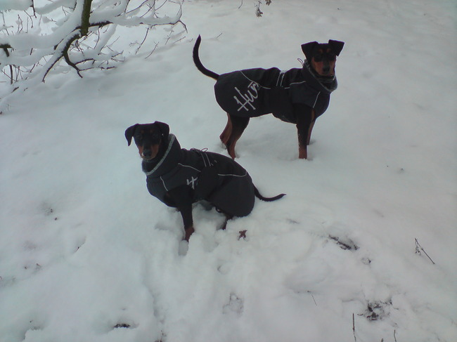 Last van de kou??? neej ;-)!