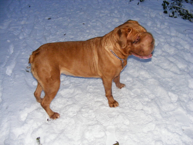 deze is 3 weken voor haar overlijden gemaakt