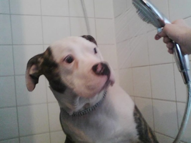 chika 1e keer douche