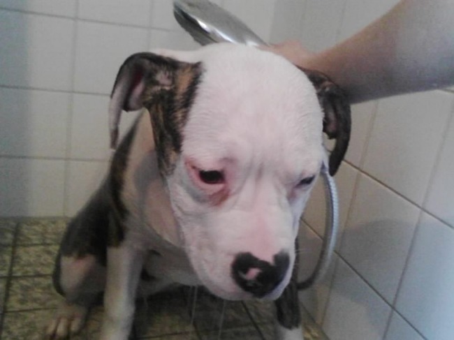 chika 1e keer douche