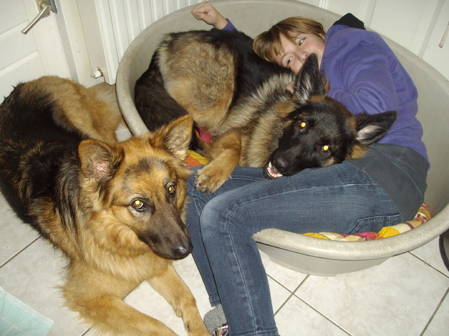 Samen lui (Christel, Rosie en Ziva)tijdens de
Kerstvakantie (2010)