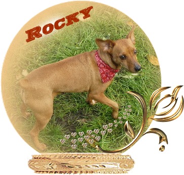 Gemaakt voor Ivonne en Rocky