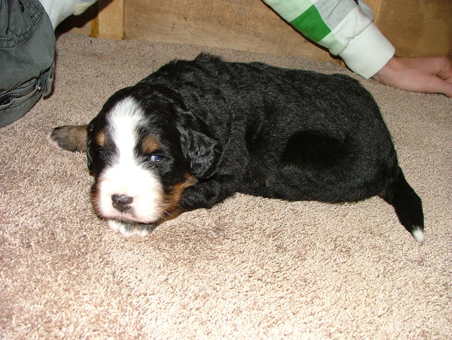 't was moeilijk uitzoeken