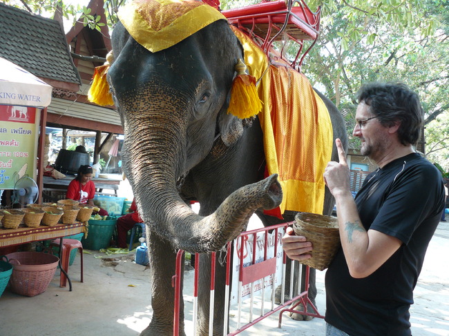 Thailand 2010..even wat lekkers geven aan deze lieve olifant 