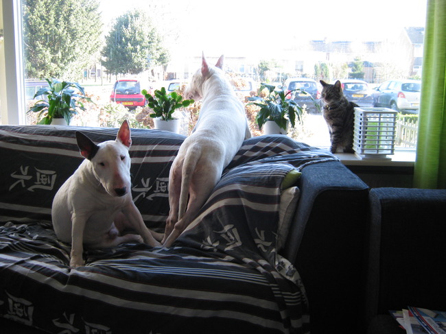 Samen kijken naar buiten