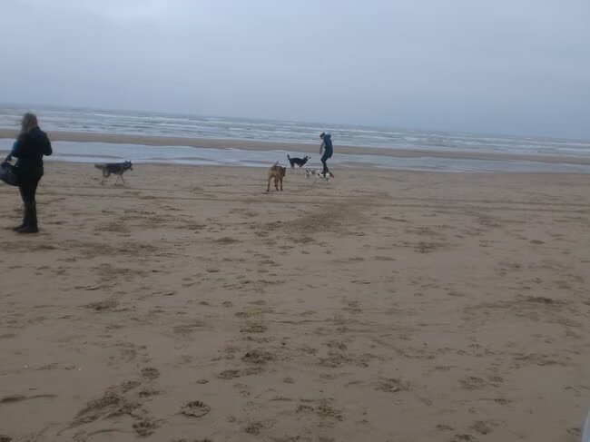 wandelen op strand zanvoort:-D