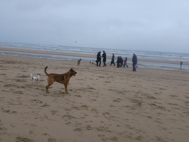 Foto van patricia,  *Spikey* Nino & Lola