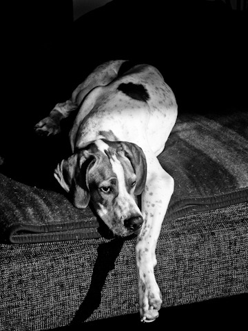 lekker op mijn plekje op de bank