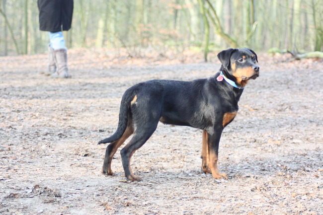 snooker in het bosm 5 maanden jong