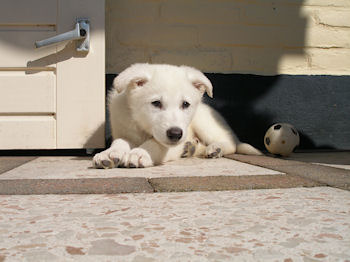 Lekker in de tuin genieten 