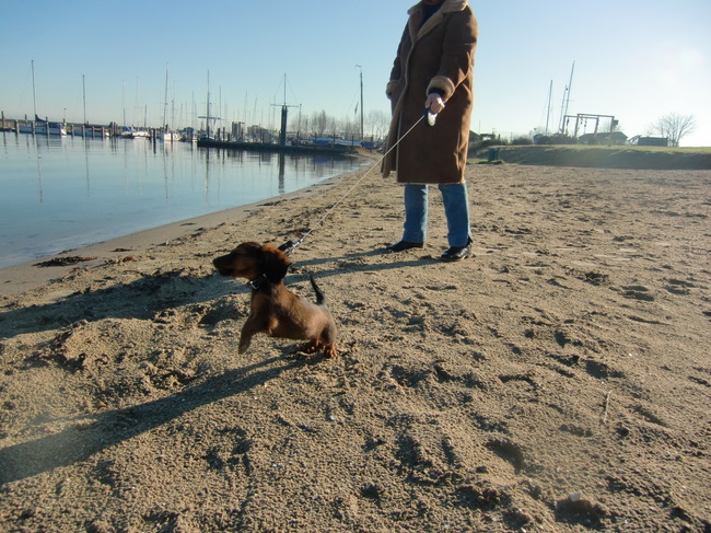 Voor het eerst er op uit naar het strandje bij de haven.