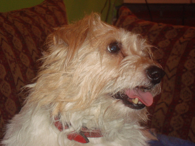 Zo ontzettend ziek ineens...acute leukemie..dag lief maatje, dag mooie meid, ik mis je nog iedere dag!!! 