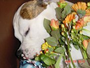 Overlijden zoon rolex aan kinderspeelgoed terwijl ik geen kinderen heb. 