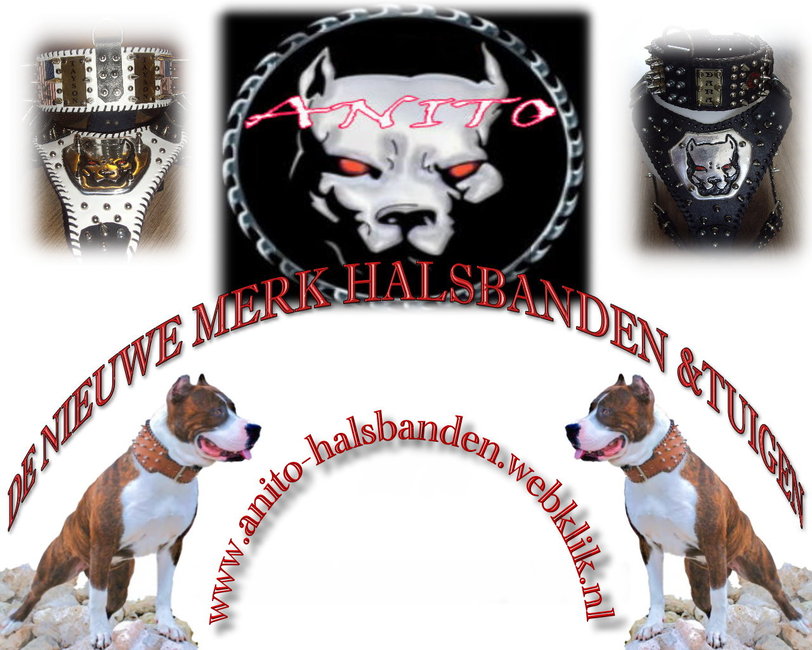 Trendy 2011!!!!!!!!!!!!!!!!!!
http://vedat001.hyves.nl/



http://anito-halsbanden.webklik.nl/page/anito-