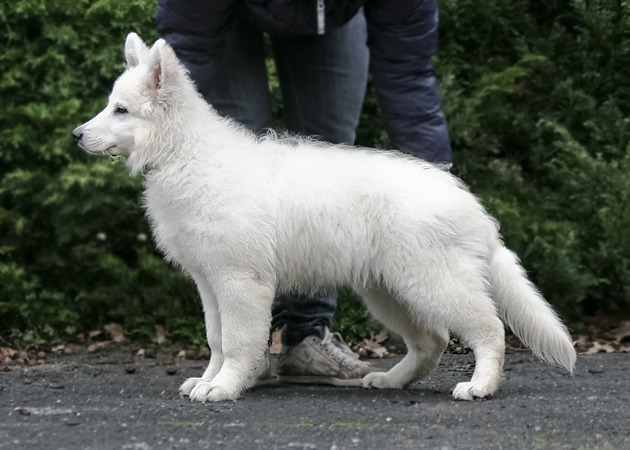 Mini Me al zo groot geworden!
Bijna 4 maandjes oud