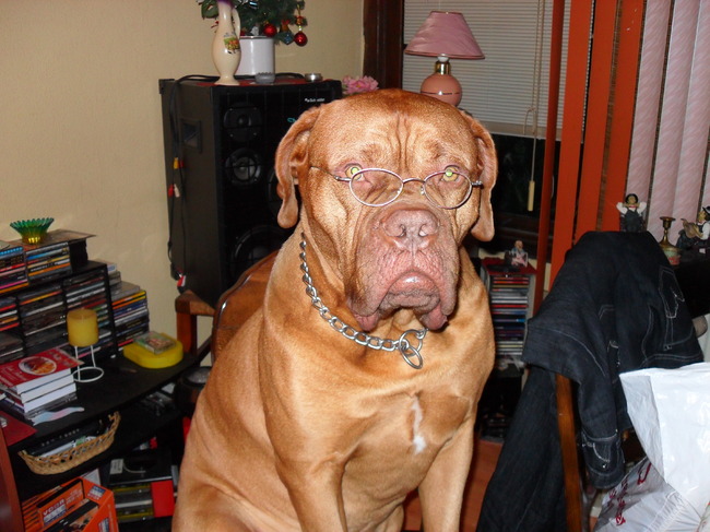 Op deze foto zien jullie Rocky de professor als jullie kijken weten jullie waarom hahahaha