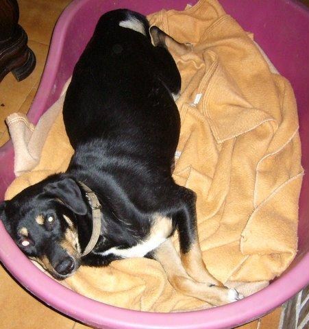 Ik geloof dat er iets uit moet!!