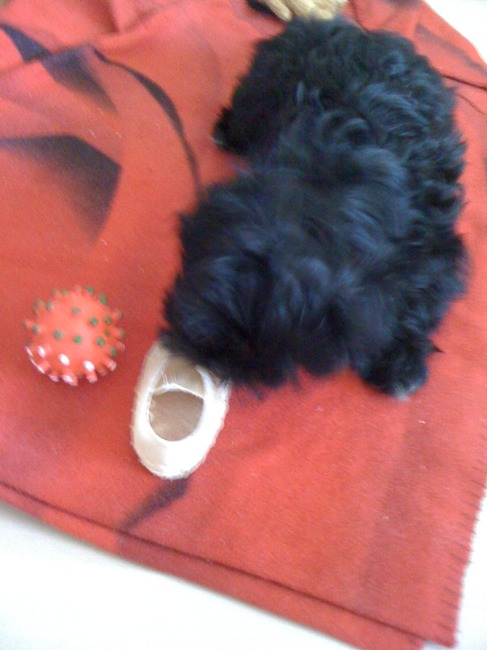 kauwen en nog eens kauwen