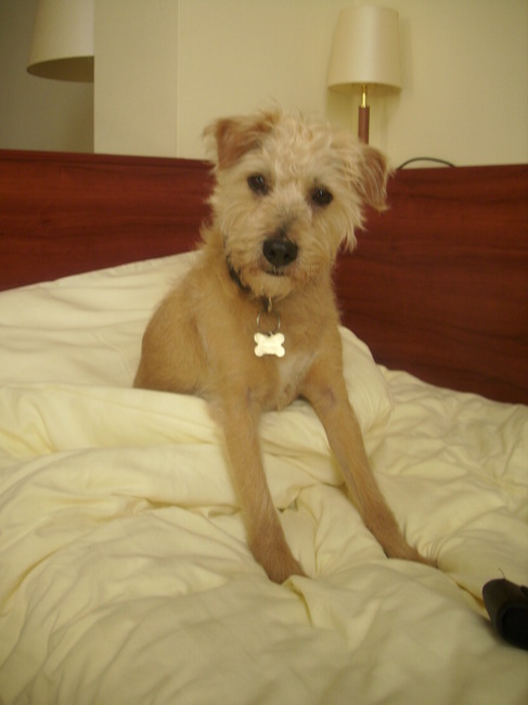 schatig ben ik he!! (op vakantie in scheveningen)