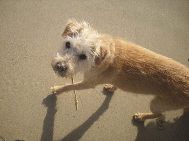 snoetje onder het zand..hihi..(op vakantie in scheveningen)