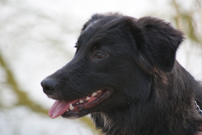 Diva bij de ijzereman