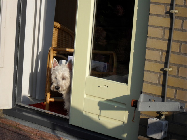 Even om het hoekje kijken