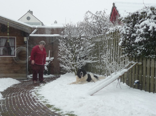 Spelen in de sneeuw