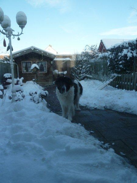 Komt er nou niemand spelen.?