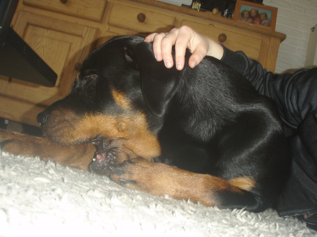 druk kauwend op haar botje.