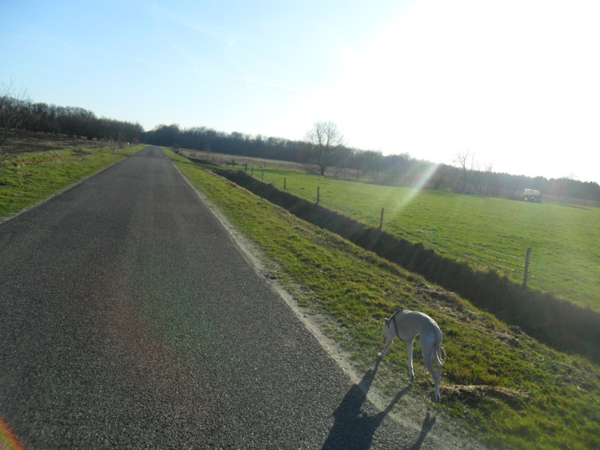 op weg naar ons uitlaat plekje