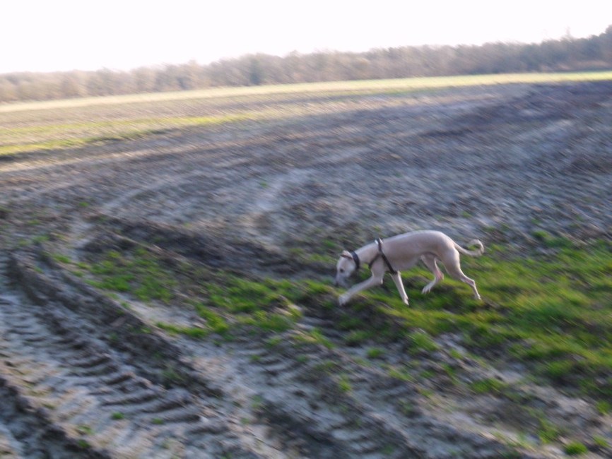 even een pauze om te plassen