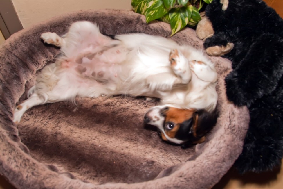 dit is ze mijn lieve schatje 