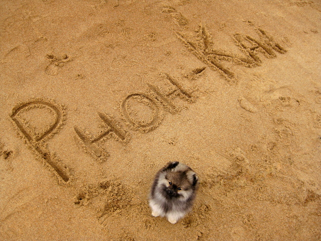 Phoh-Kai is the name!