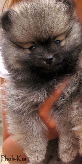 Onze keuze was gemaakt!