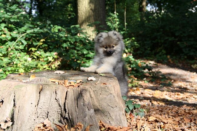 Net een echt model :D