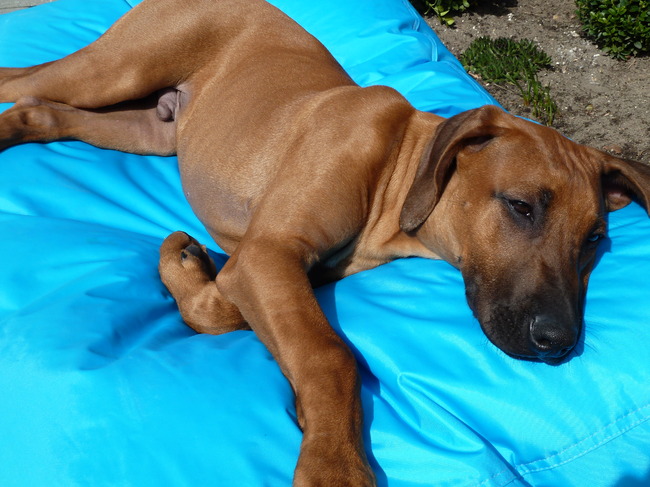 Heerlijk lounchen