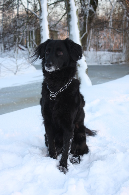 Jane haar laatste winter in de sneeuw.