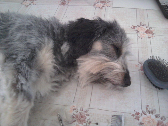 ik krijg er gewoon slaap van